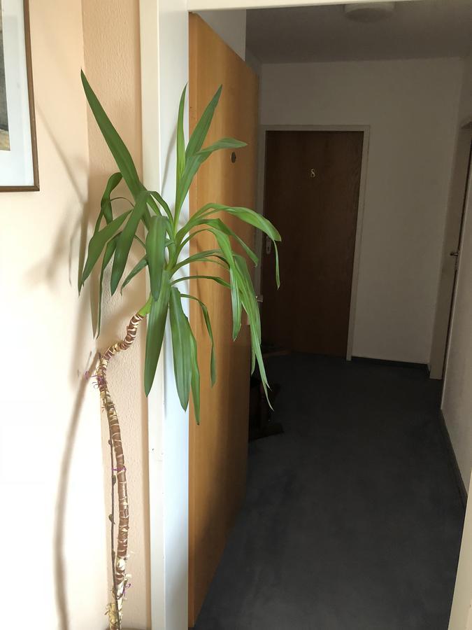 Hotel Junkerhaus Bad Salzuflen Exteriör bild